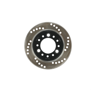 RYDO Rear Brake Disc (Blaze/Blaze Pro)